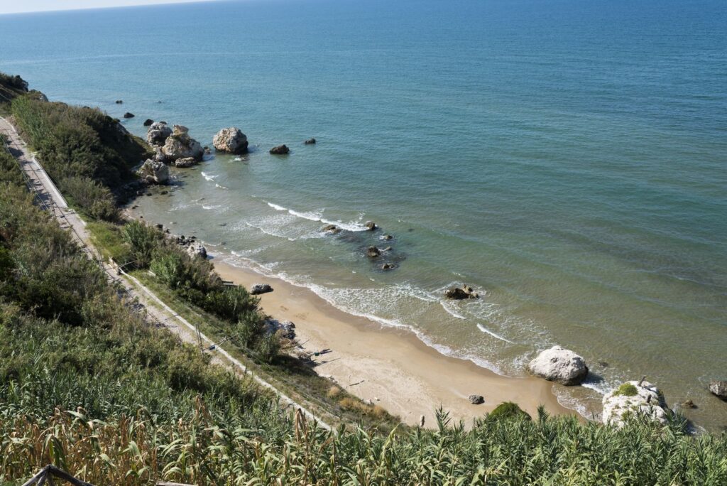 DSC003050909_risultato